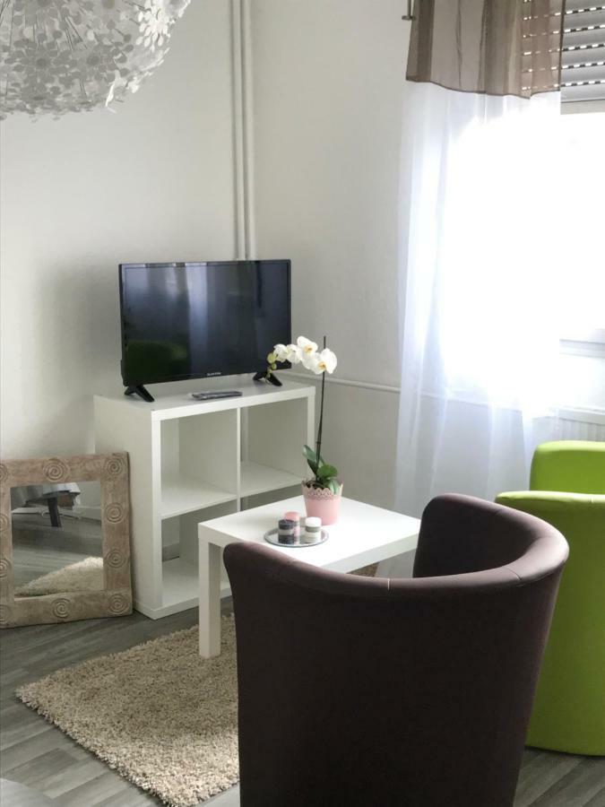 Studio 5 Near Basel Airport Saint-Louis  Eksteriør billede